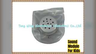 वाटरप्रूफ साउंड मॉड्यूल बच्चों के कपड़े जूते खिलौने